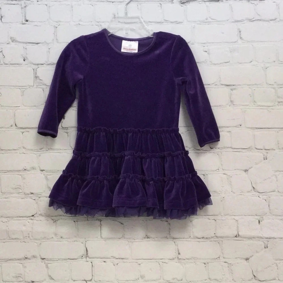 Hanna Andersson 2T Purple Ruffle Velvet Dress - Picture 1 of 6